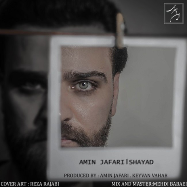 دانلود آهنگ شاید دانلود آهنگ شاید